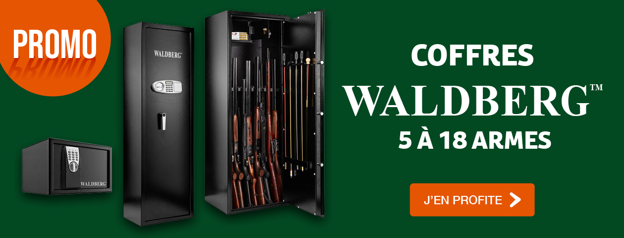 PROMO Coffres pour armes WALDBERG