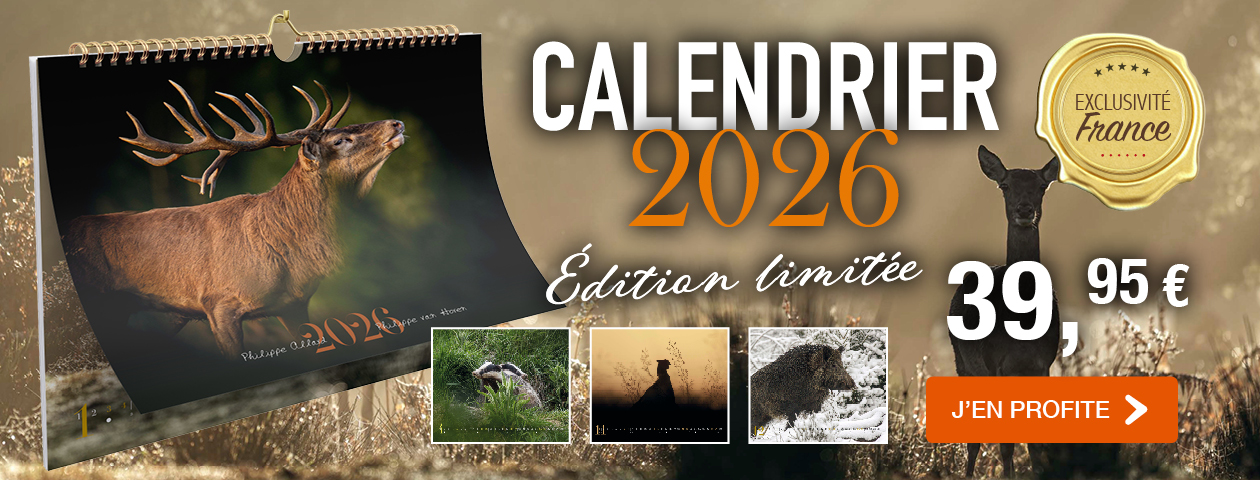 Calendrier 2026 : il arrive !