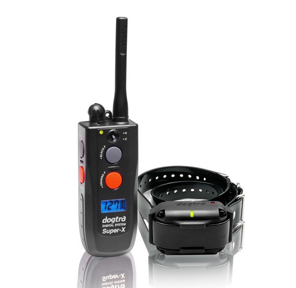 Collier de dressage Dogtra 3500NCP - 1 chien, MADE IN CHASSE - Equipements de chasse