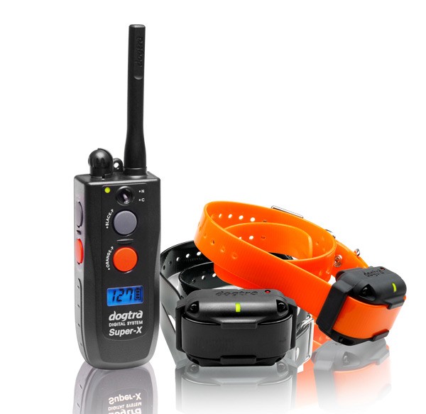 Collier de dressage Dogtra 3502NCP - 2 chiens, MADE IN CHASSE - Equipements de chasse