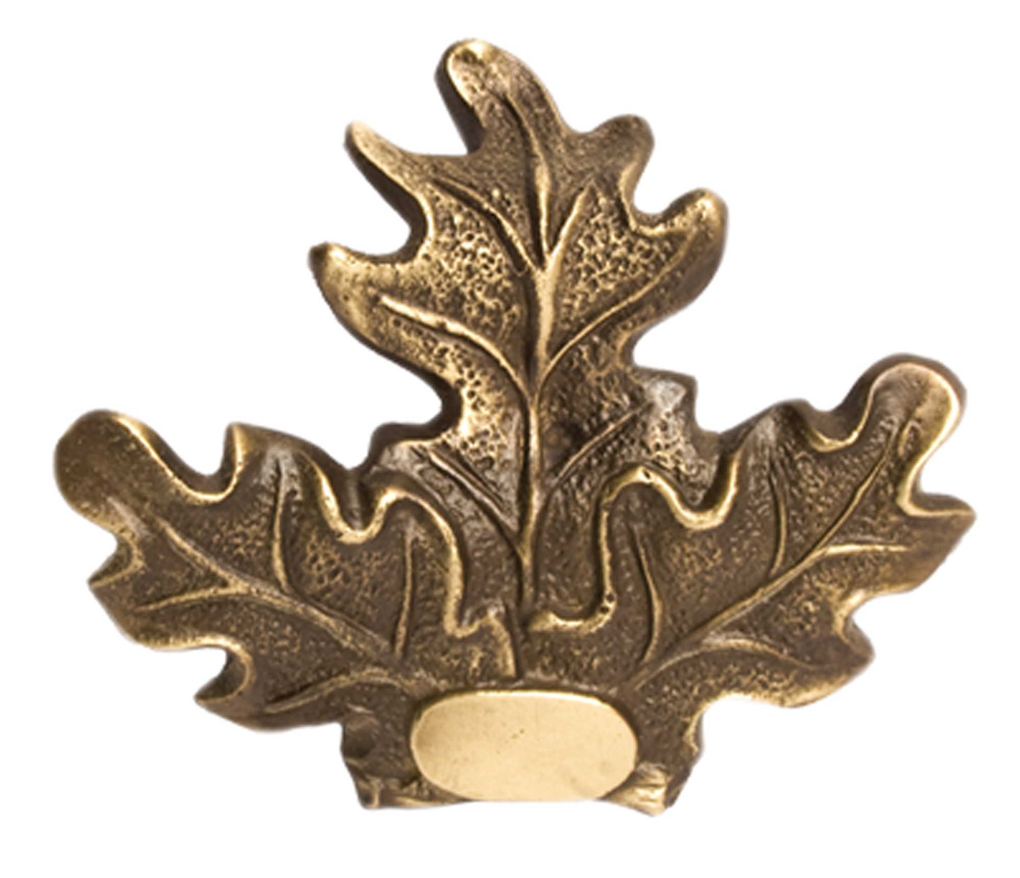 Feuilles de chêne porte-trophée - Grand modèle, MADE IN CHASSE - Equipements de chasse