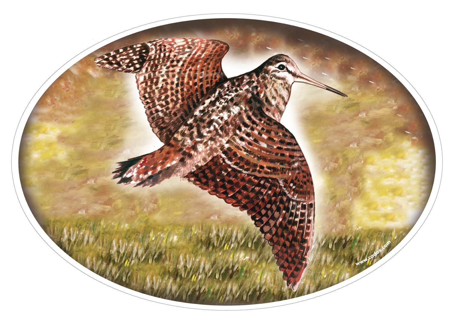 Sticker autocollant Bécasse, MADE IN CHASSE - Equipements de chasse