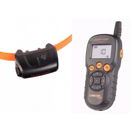 Collier de dressage Canicom 5.500, MADE IN CHASSE - Equipements de chasse