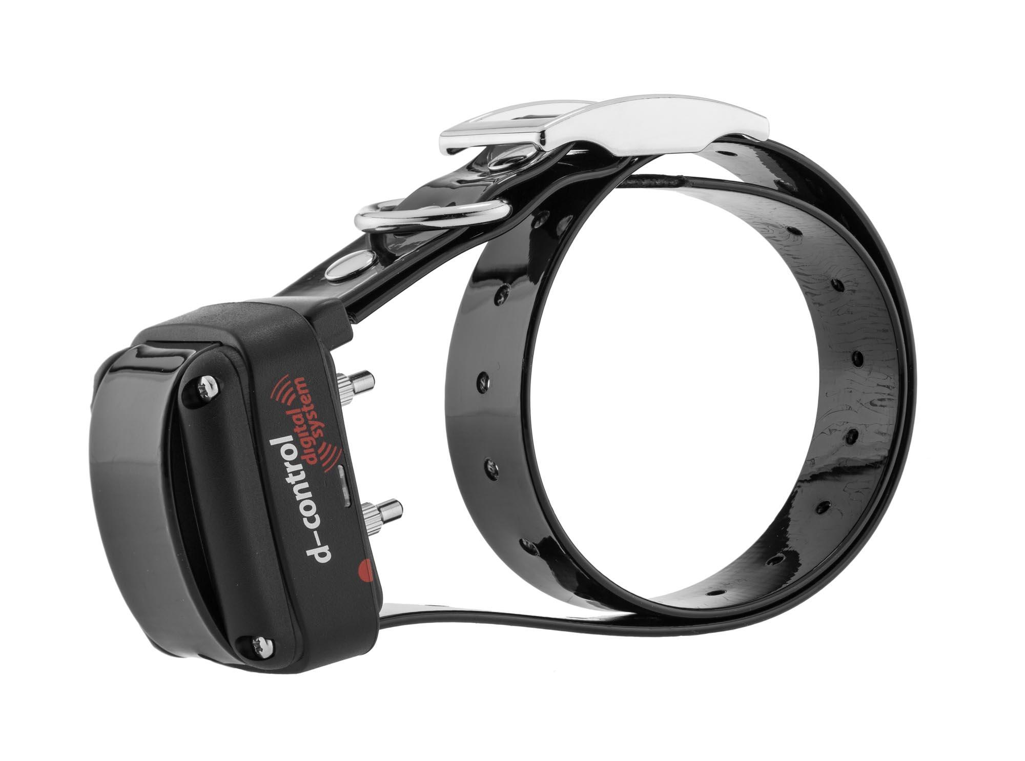 Collier supplémentaire pour collier de dressage Dogtrace, MADE IN CHASSE - Equipements de chasse