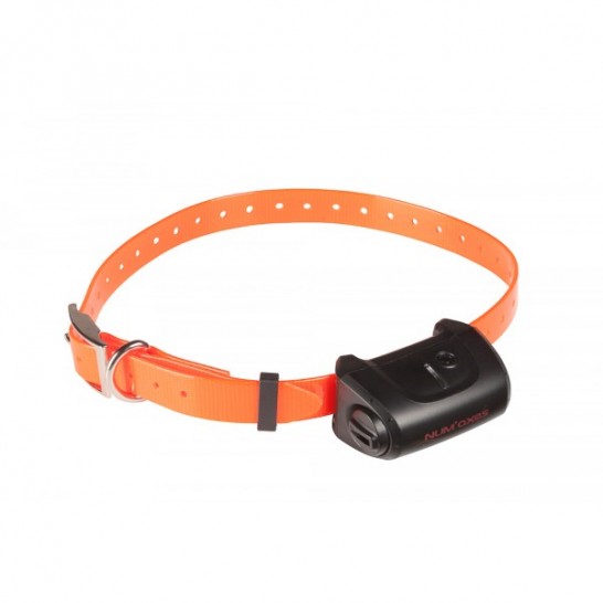 Collier supplémentaire Canicom 5, Multicolore, MADE IN CHASSE - Equipements de chasse