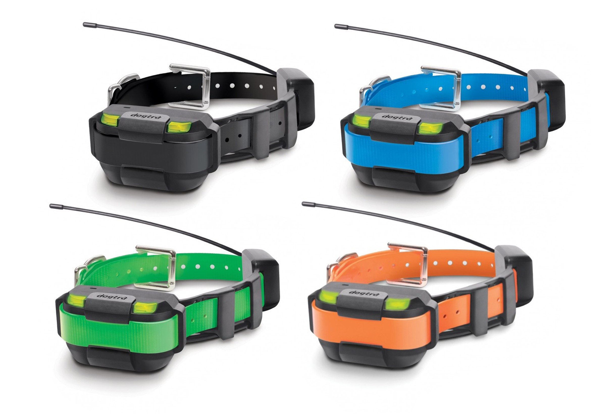 Collier suppl. dressage et repérage GPS Pathfinder Mini Dogtra, Multicolore, MADE IN CHASSE - Equipements de chasse