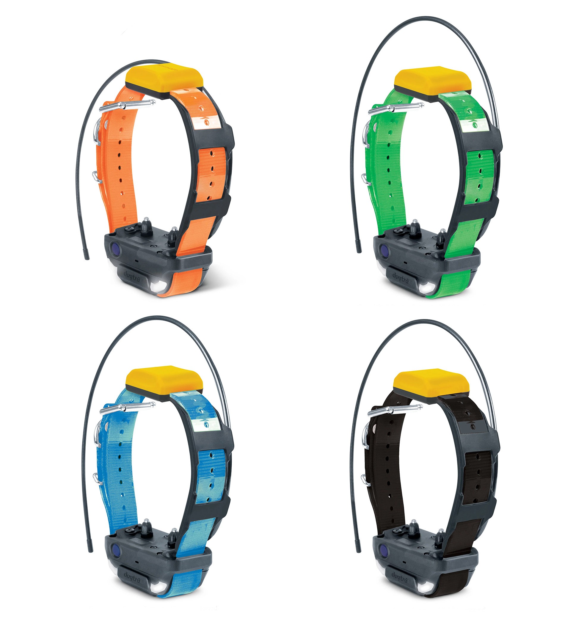 Collier suppl. dressage et repérage GPS Pathfinder 2 Dogtra, Multicolore, MADE IN CHASSE - Equipements de chasse