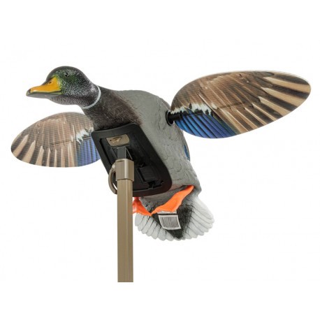 Appelant à ailes motorisées Mojo Canard