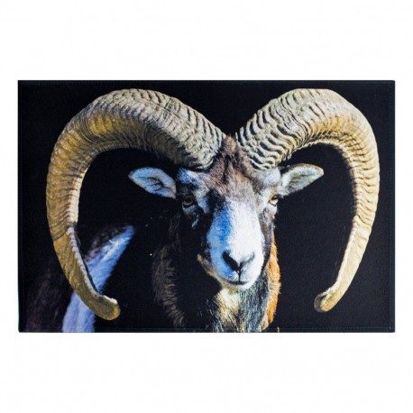 Tapis de cuisine Mouflon