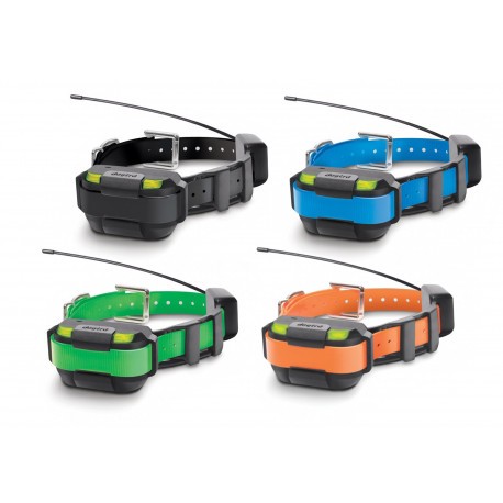 Collier suppl. dressage et repérage GPS Pathfinder Mini Dogtra 