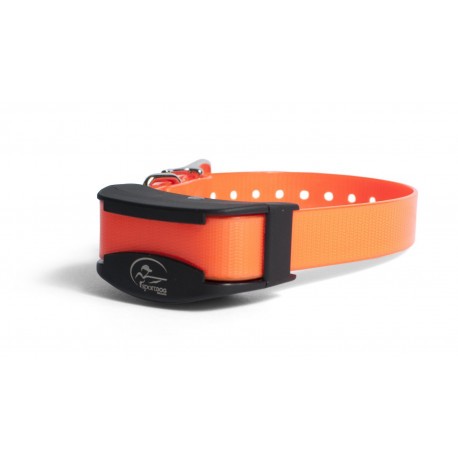 Collier suppl. de dressage SportDog / Petit chien SDR-AFE