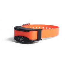 Collier suppl. de dressage SportDog / Petit chien SDR-AFE