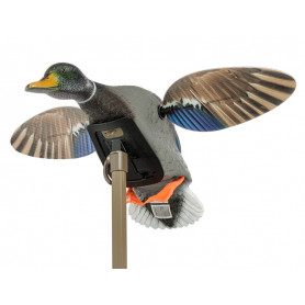 Appelant à ailes motorisées Mojo Canard