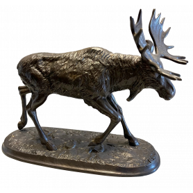 Bronze Elan