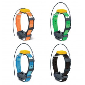 Collier suppl. dressage et repérage GPS Pathfinder 2 Dogtra 