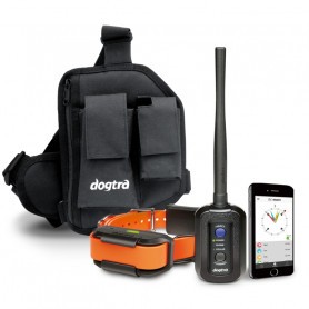 Système dressage repérage GPS Dogtra Pathfinder 