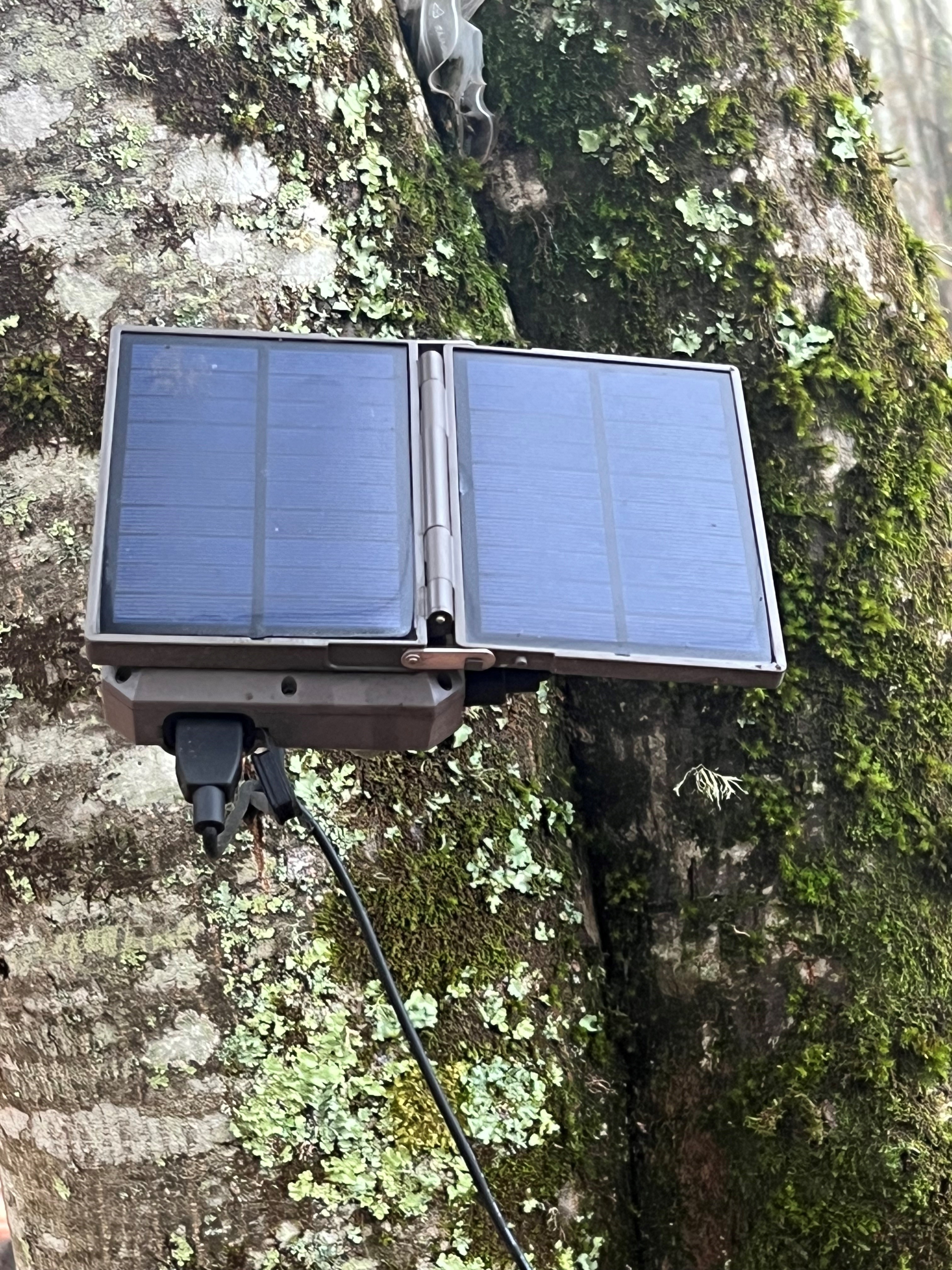 Panneau solaire pour pièges photos SPromise / ScoutGuard, MADE IN CHASSE - Equipements de chasse