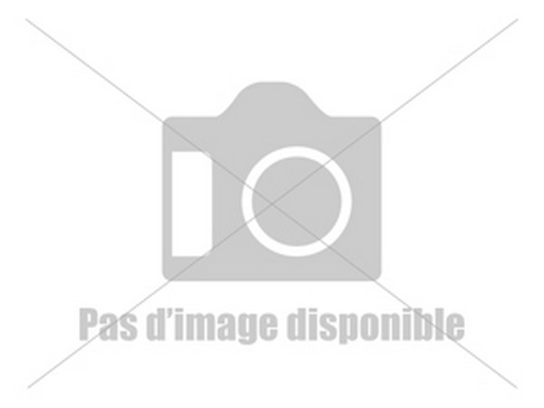 Serrure de rechange pour armoire forte Rietti 2 mm, MADE IN CHASSE - Equipements de chasse