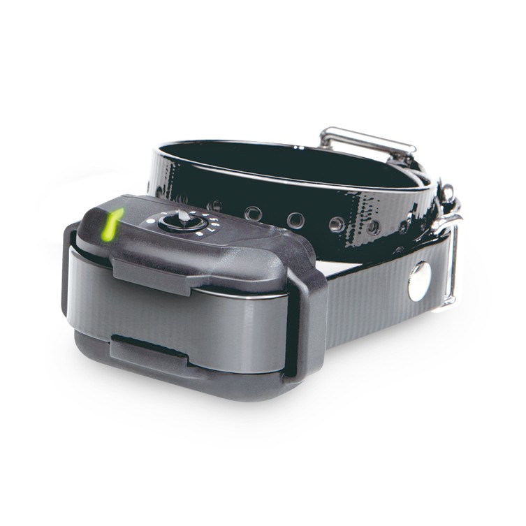 Collier supplémentaire antifugue Dogtra E-FENCE 3500, MADE IN CHASSE - Equipements de chasse
