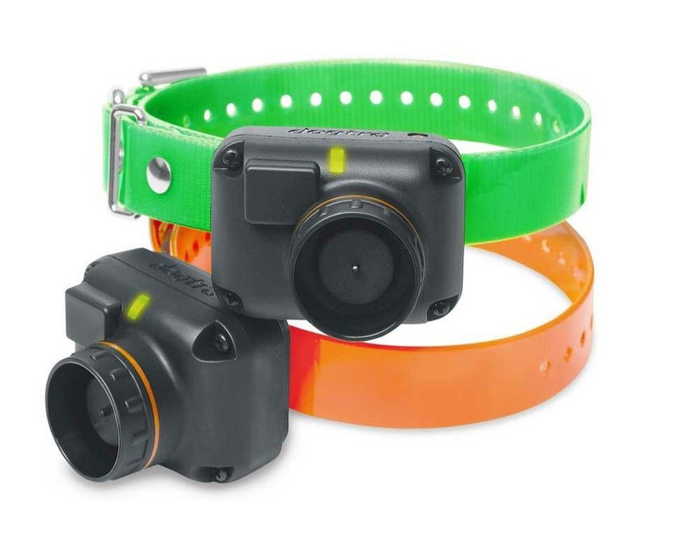 Collier suppl. dressage et repérage GPS Dogtra 2600T&B / 2602T&B, Multicolore, MADE IN CHASSE - Equipements de chasse