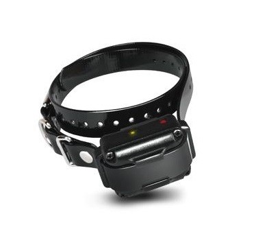 Collier supplémentaire de dressage pour Dogtra IQ Plus, MADE IN CHASSE - Equipements de chasse