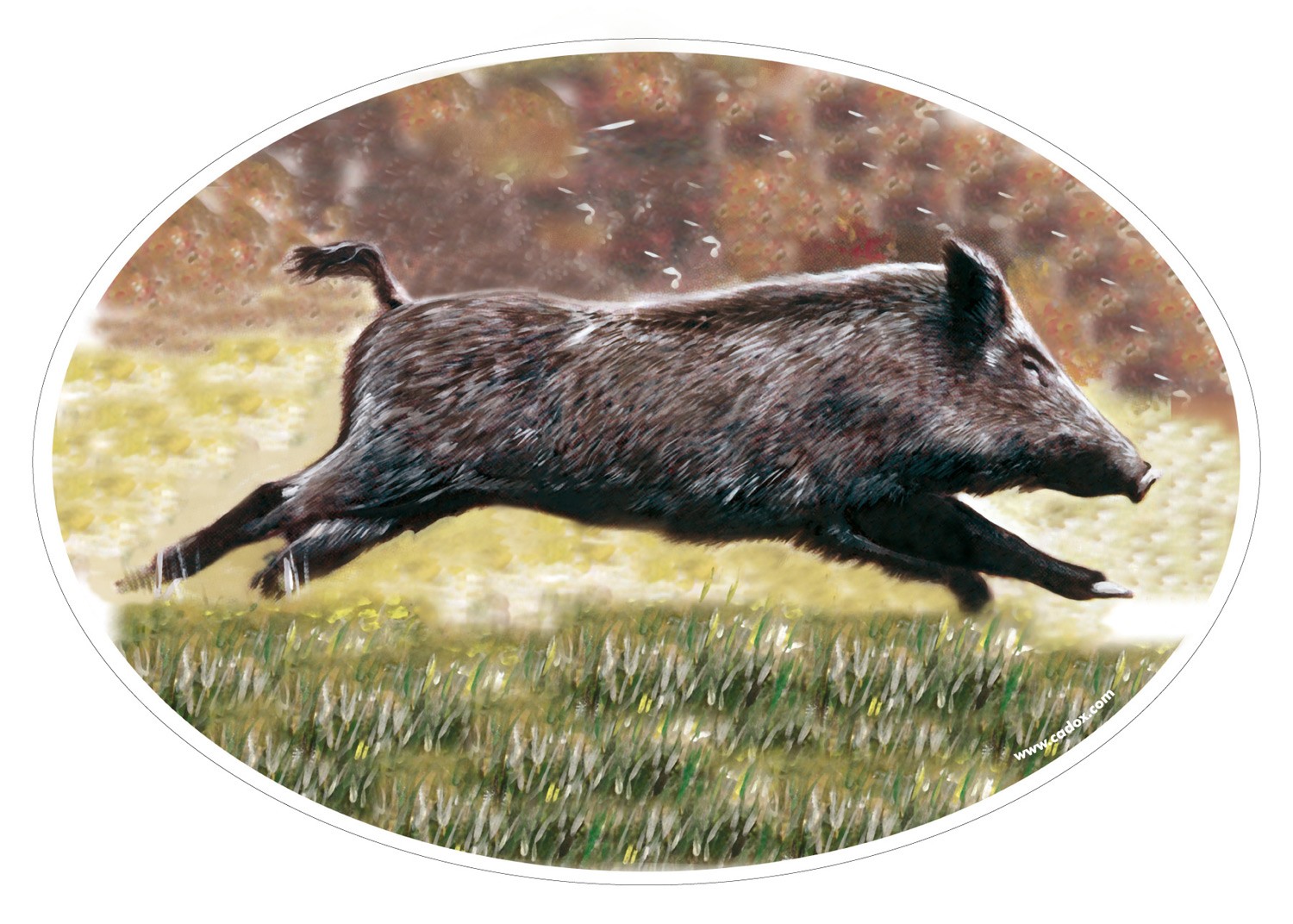 Sticker autocollant Sanglier, MADE IN CHASSE - Equipements de chasse