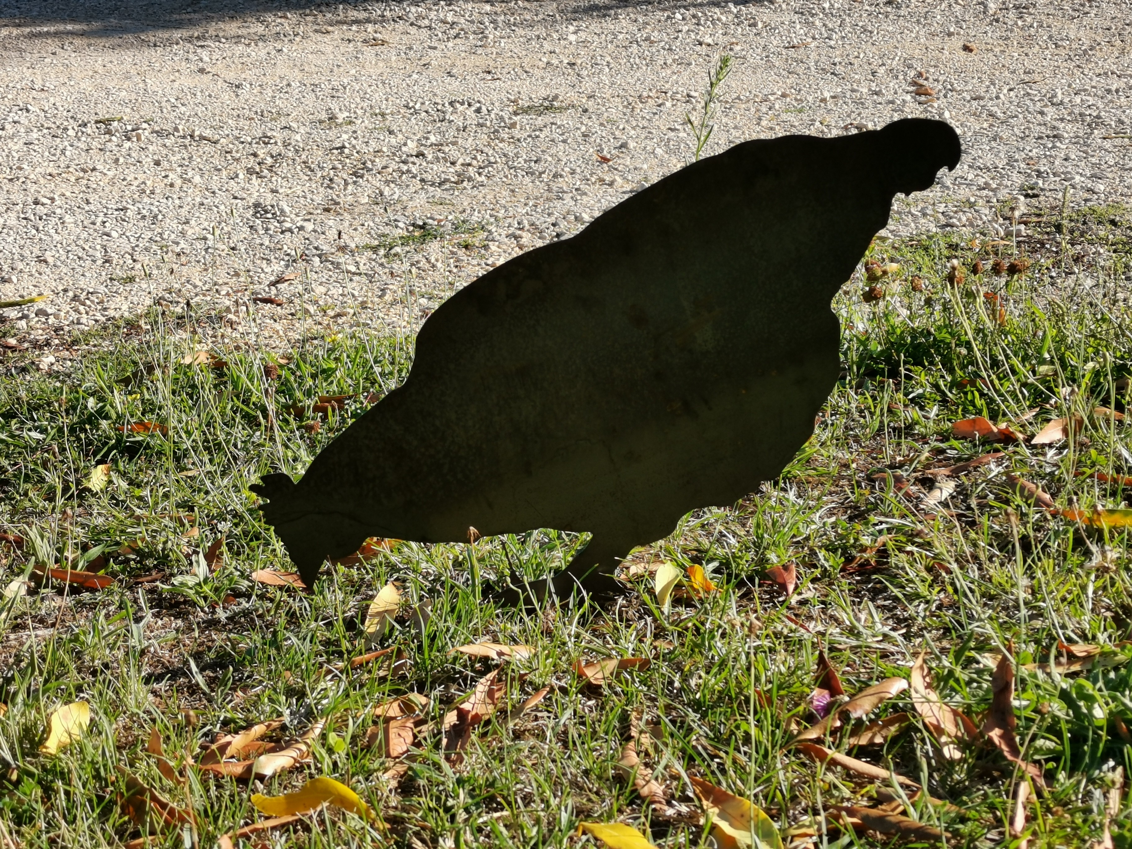 Silhouette métallique Poule picorant, MADE IN CHASSE - Equipements de chasse