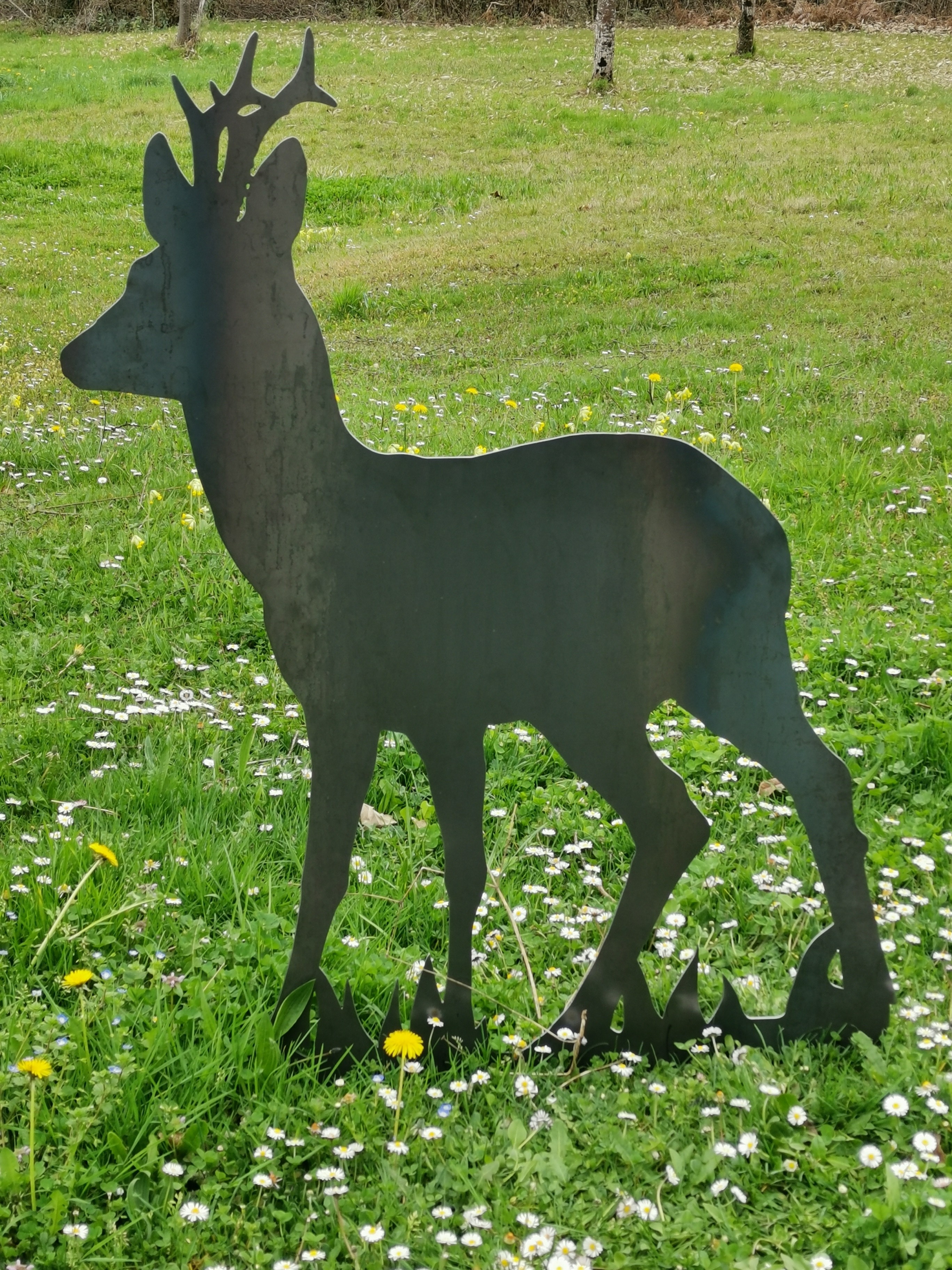Silhouette métallique Brocard, MADE IN CHASSE - Equipements de chasse