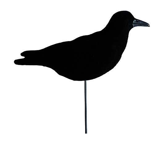 Pack 12 appelants Corbeau floqué tournant, MADE IN CHASSE - Equipements de chasse