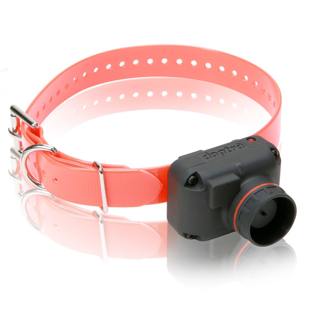 Collier de repérage Dogtra StB Beep H, MADE IN CHASSE - Equipements de chasse