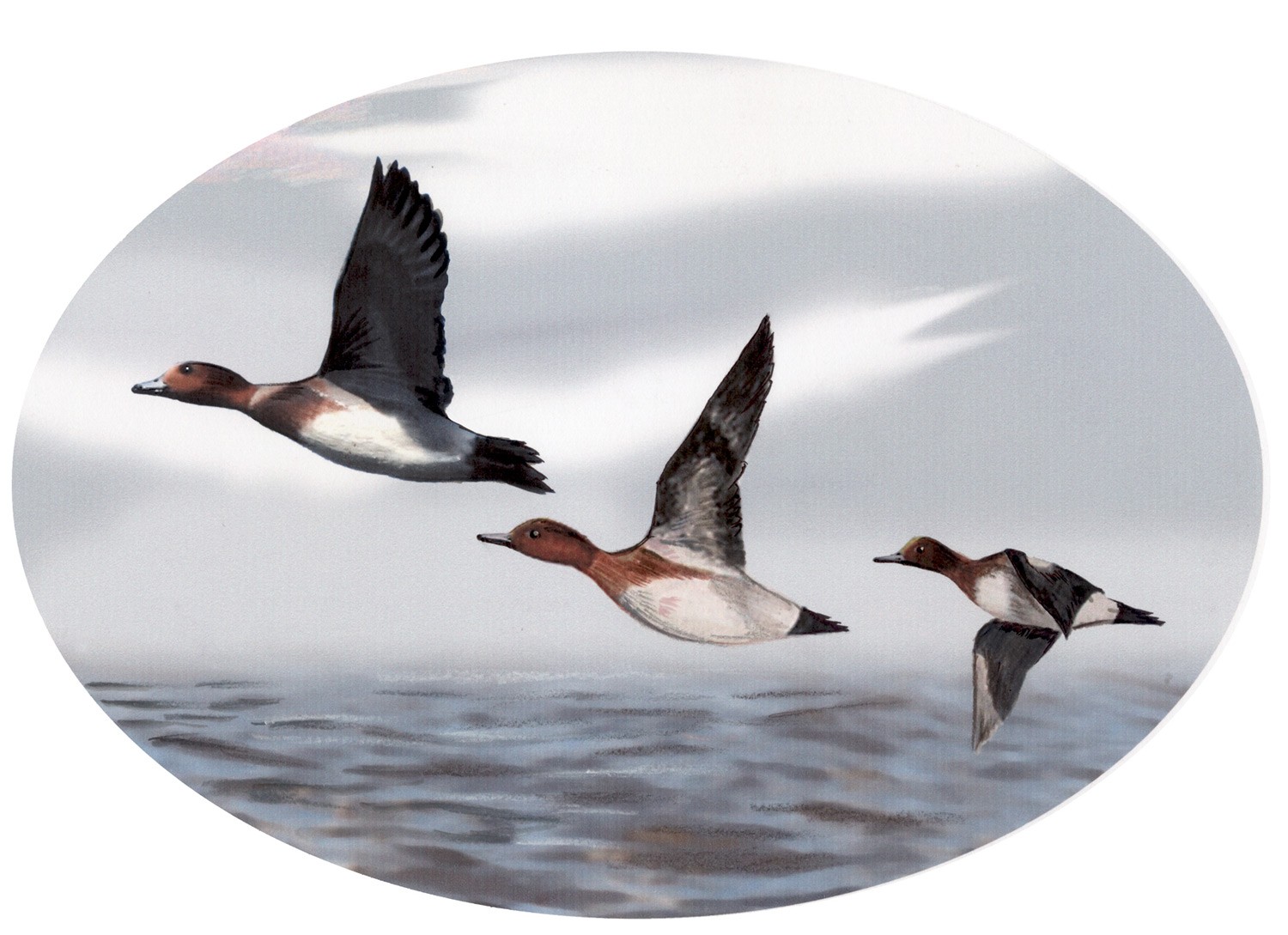 Sticker autocollant Canards, MADE IN CHASSE - Equipements de chasse MADE IN CHASSE