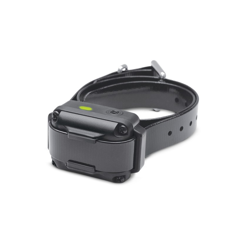 Collier anti-aboiement Dogtra YS Vibe, MADE IN CHASSE - Equipements de chasse